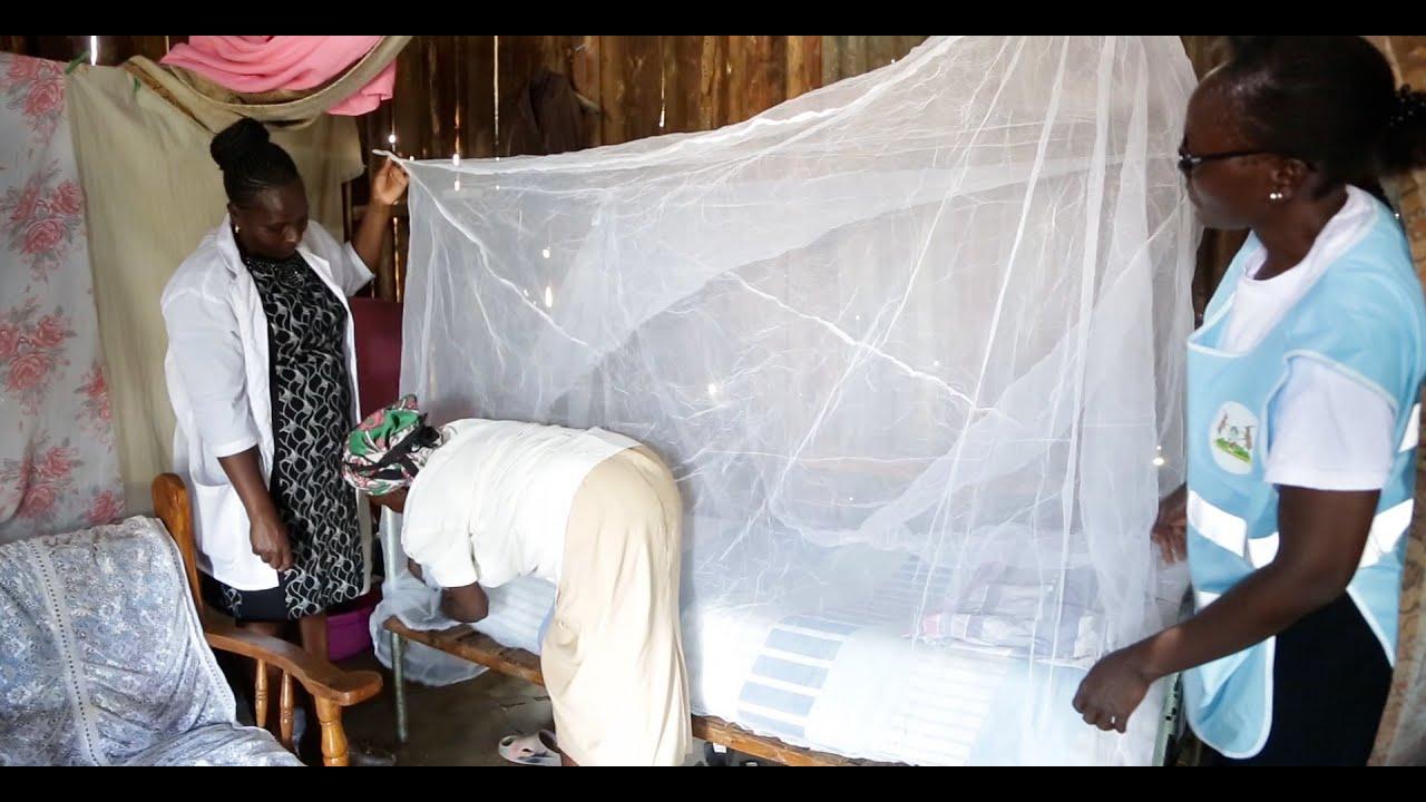 Baringo County Receives 290,000 Treated Mosquito Nets to Combat Malaria