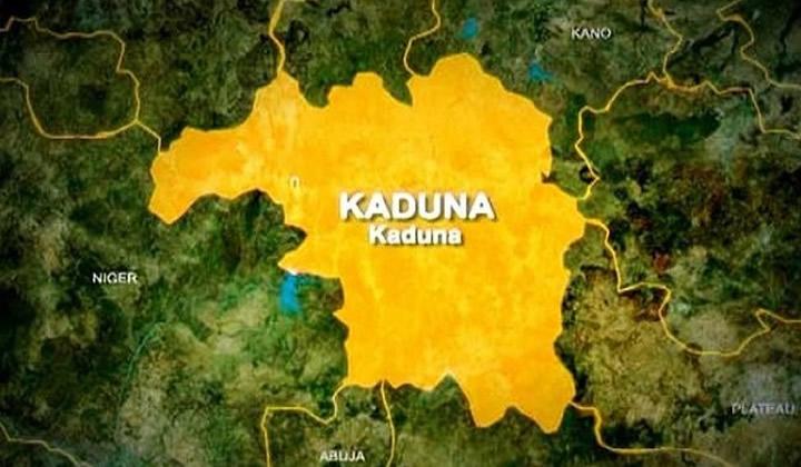 Pharmacy Council Shuts Down 666 Illegal Medicine Shops in Kaduna to Protect Public Health