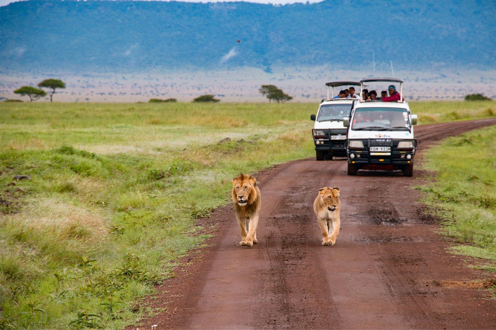 Kenya’s Tourism Revenue Rises 20% to Ksh 452 Billion in 2024