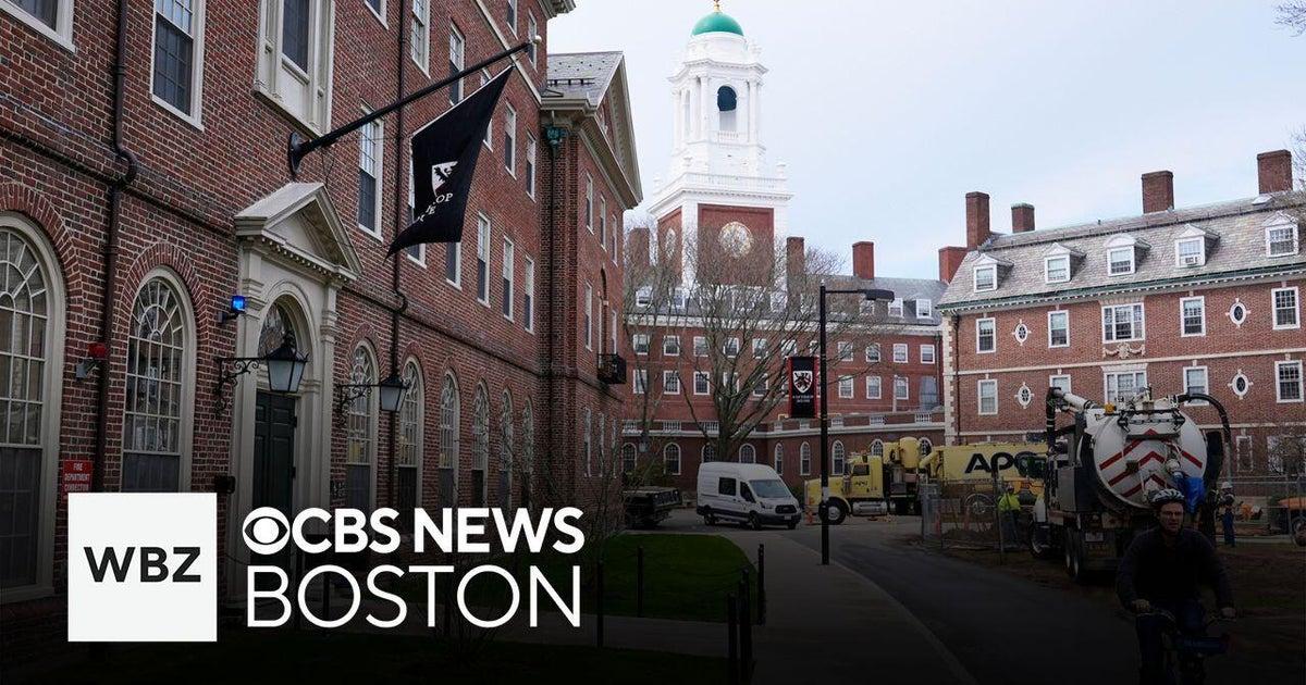 Harvard Researcher Faces Stop Work Order After Trump Freezes Funding