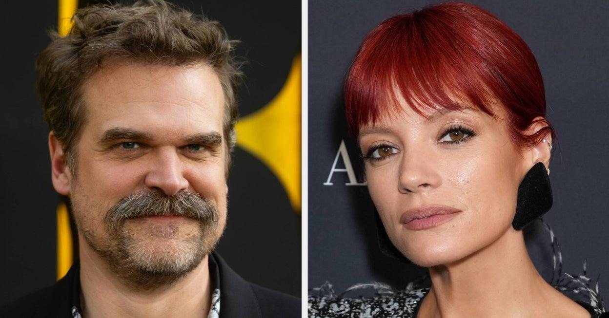 David Harbour Opens Up About Split With Lily Allen