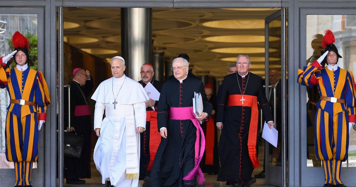 Pope Leo XIV Embraces AI, Vows to Continue Pope Francis' Mission