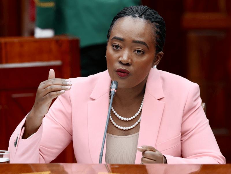 Land Dispute Slows KDF Base Plan in Turkana East, Tuya Says