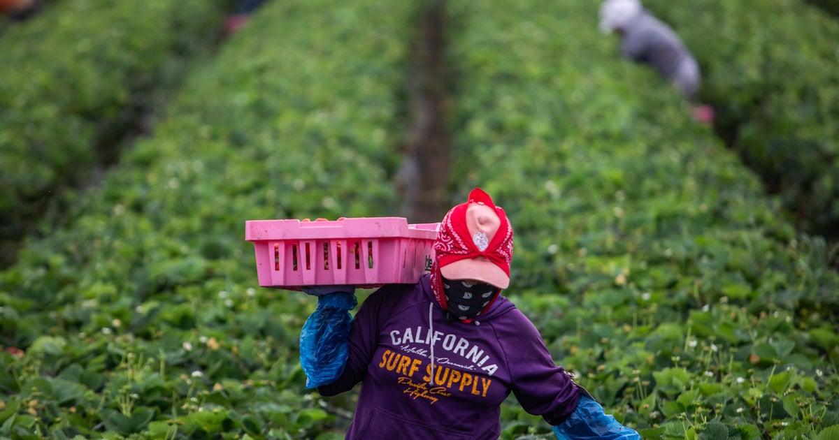 Trump’s Immigration Policies Linked to 1.2M Worker Decline