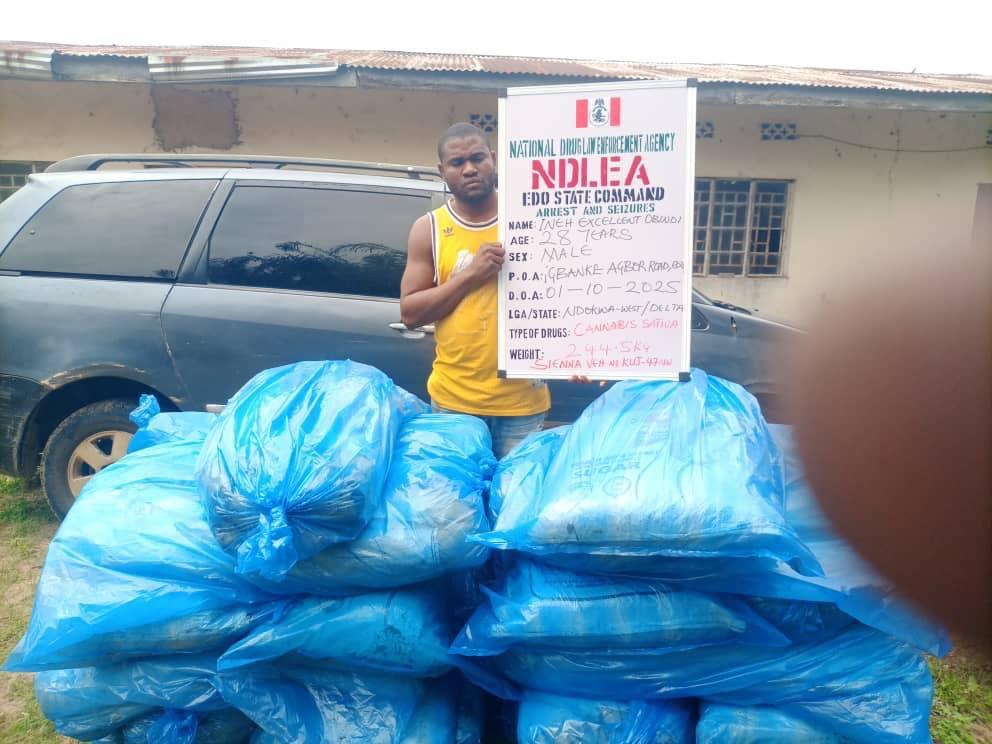 NDLEA Dismantles Two Major Cocaine Cartels in Lagos